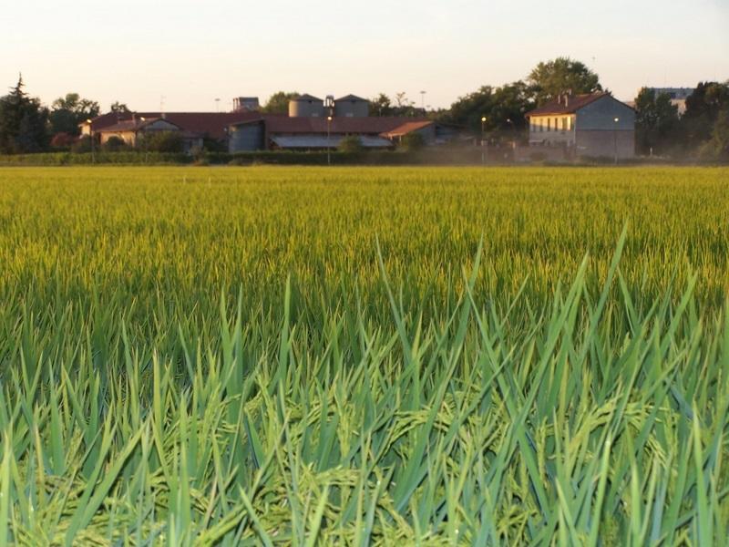 Willa Cascina Battivacco Mediolan Zewnętrze zdjęcie